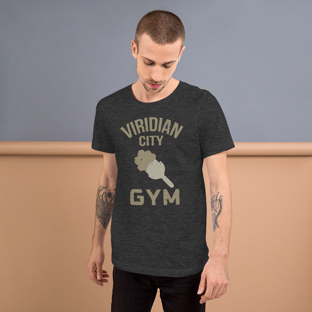 Pokemon Viridian City Gym Unisex T-Shirt for Men