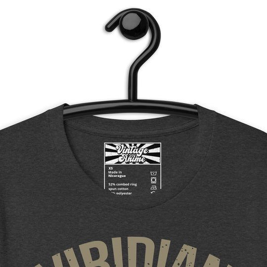 Pokemon Viridian City Gym Unisex T-Shirt for Men